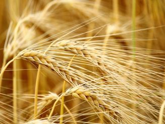 Eröffnungsgottesdienst zur Passionszeit